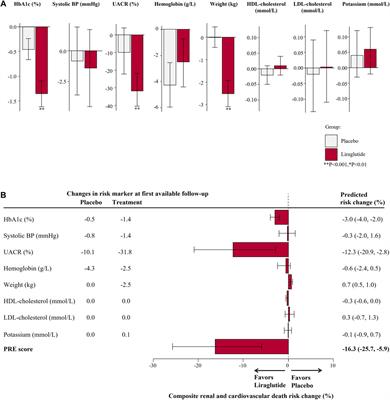 Prediction of the Effects of Liraglutide on Kidney and Cardiovascular Outcomes Based on Short-Term Changes in Multiple Risk Markers